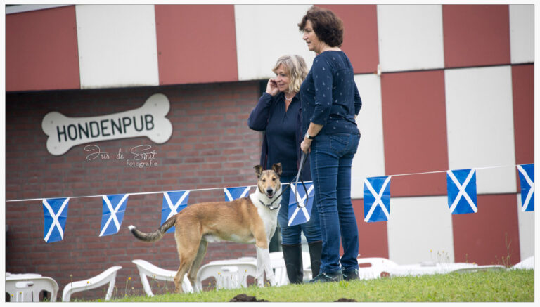 Smooth Collie Friends